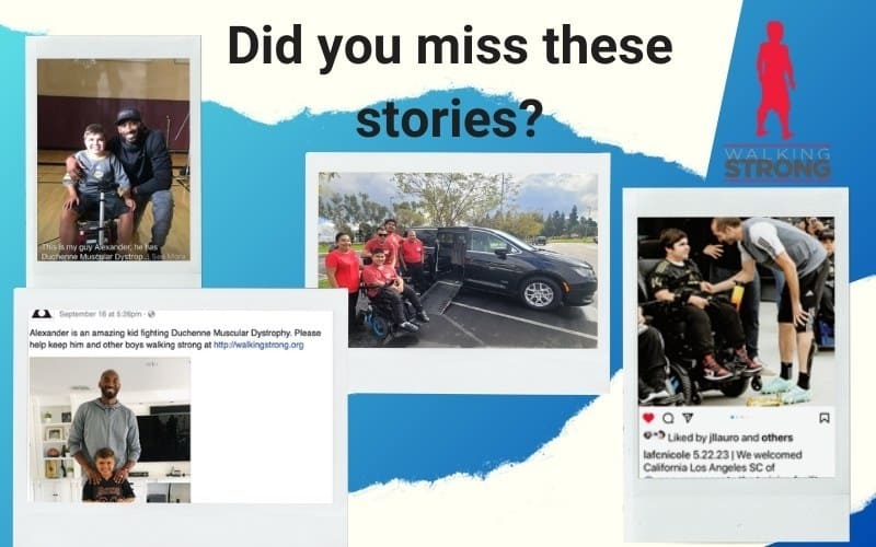 Did you miss these stories?