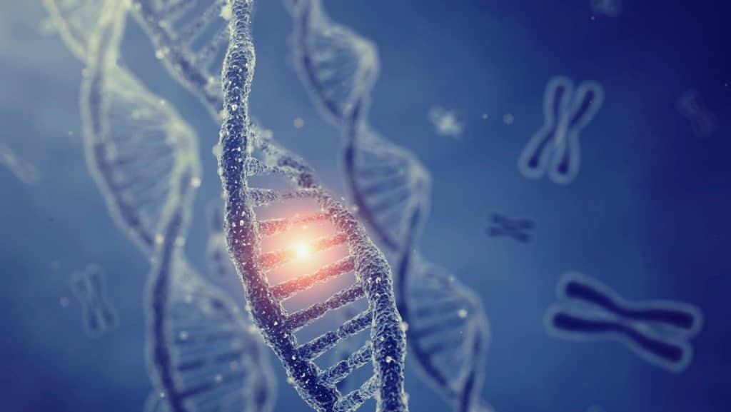 Genetic mutation conceptualization