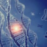 Genetic mutation conceptualization