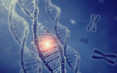 Targeted Therapies for DMD