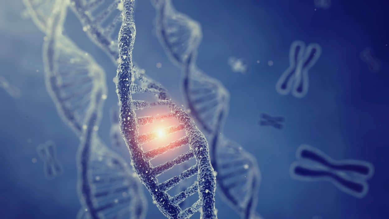Targeted Therapies for DMD